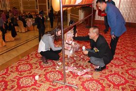 廣東瑞馬壁掛爐2014年度答謝盛典                        &mdash;&mdash;萌萌噠&ldquo;小戰馬&rdquo;日記19