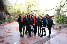 瑞馬壁掛爐：又經一年風雨，再創一路輝煌